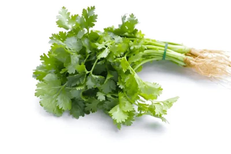 7  Best Hair Regrowth tips in tamil  முடி வளர 7 சிறந்த குறிப்புகள்