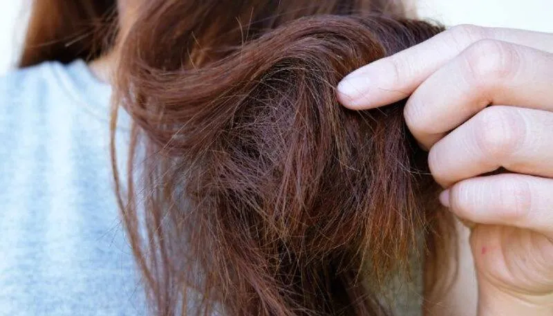 BENIFITS OF HAIR SPA IN TAMIL| ஹேர் ஸ்பாவின்  நன்மைகள்