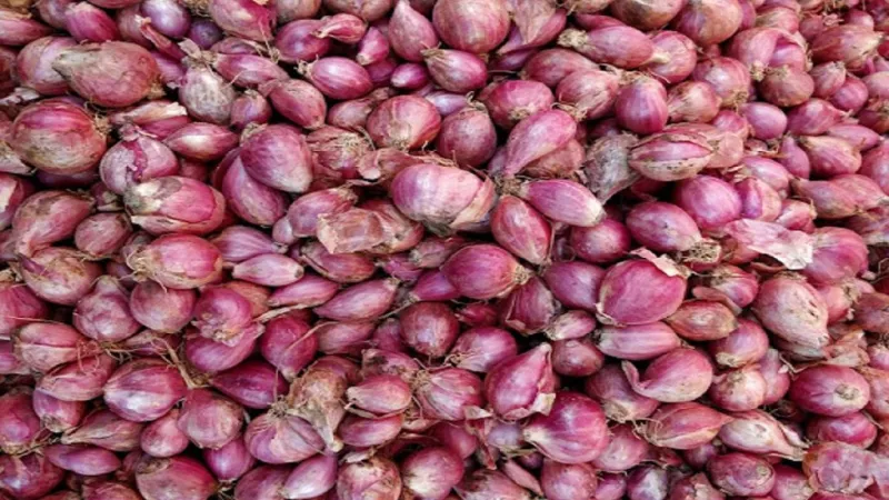 வெங்காயத்தின் பயன்கள் onion uses in tamil