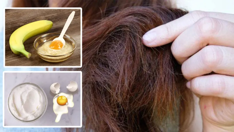 hair growth in bald head tips in tamil