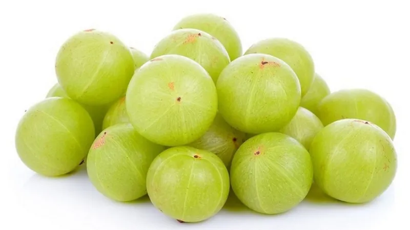 how to control hair fall using these 3 tips? - Amla pack