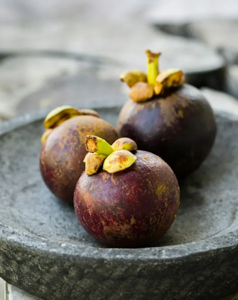 மங்குஸ்தானின் பயன்கள்-Mangoestan Benefits in tamil