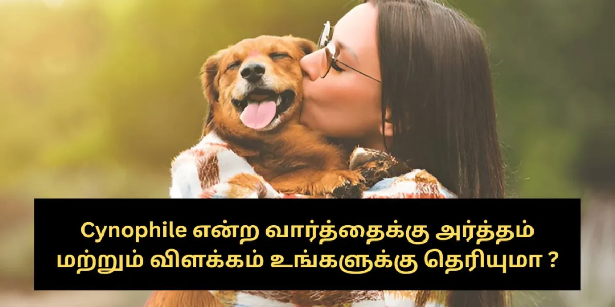 Cynophile என்ற வார்த்தைக்கு அர்த்தம் மற்றும் விளக்கம் உங்களுக்கு தெரியுமா ? | cynophile meaning in tamil