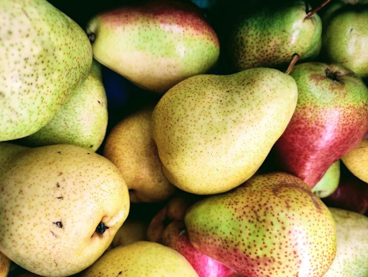 பேரிக்காய்  பயன்கள் |Pear fruit benefits in tamil