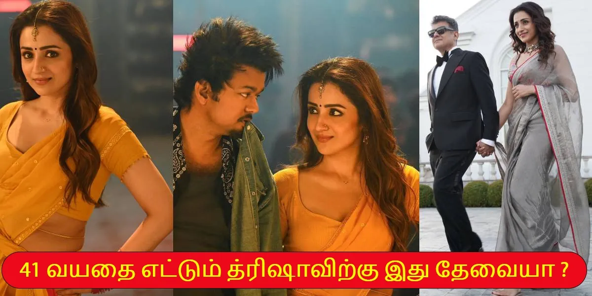 41 வயதை எட்டும் த்ரிஷாவிற்கு இது தேவையா ? கோடியில் சொத்துக்கள்  !