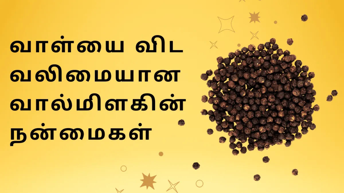 வால்மிளகின் நன்மைகள்