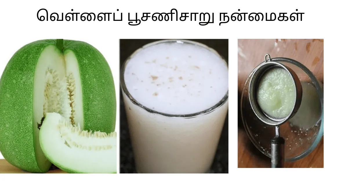 வெள்ளைப்  பூசணி சாறு நன்மைகள்