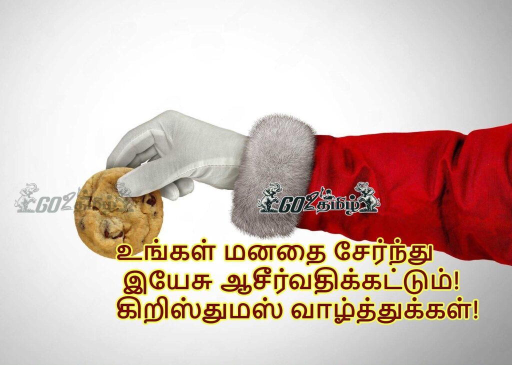 Happy Christmas Wishes Tamil