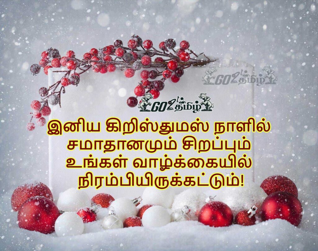 Happy Christmas Wishes Tamil