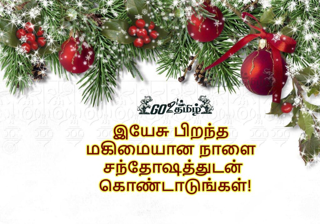 Happy Christmas Wishes Tamil