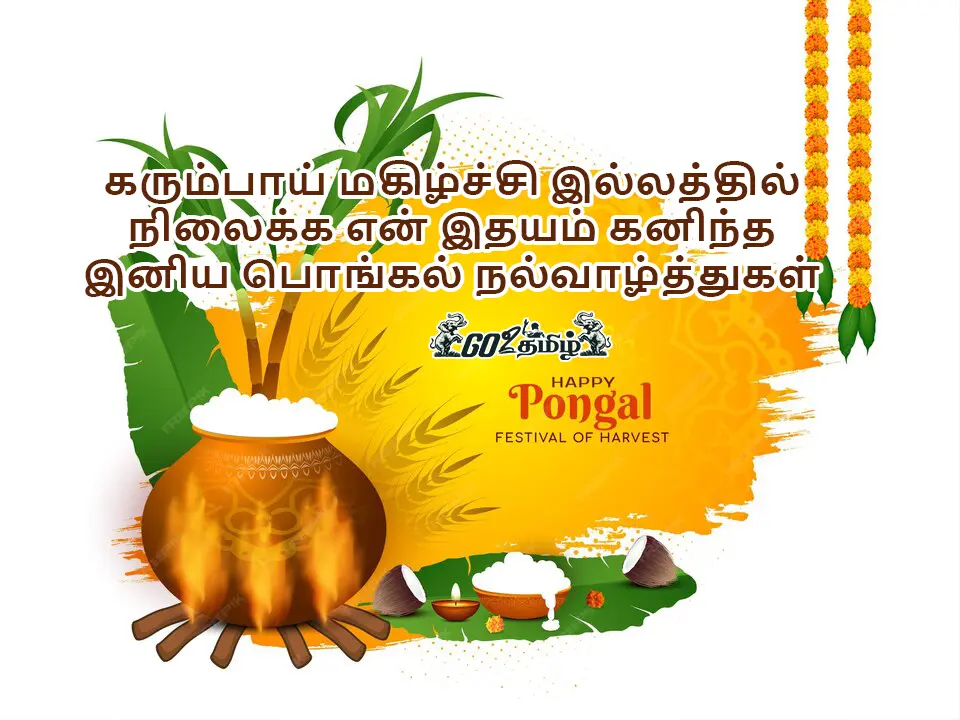 pongal wishes 2025