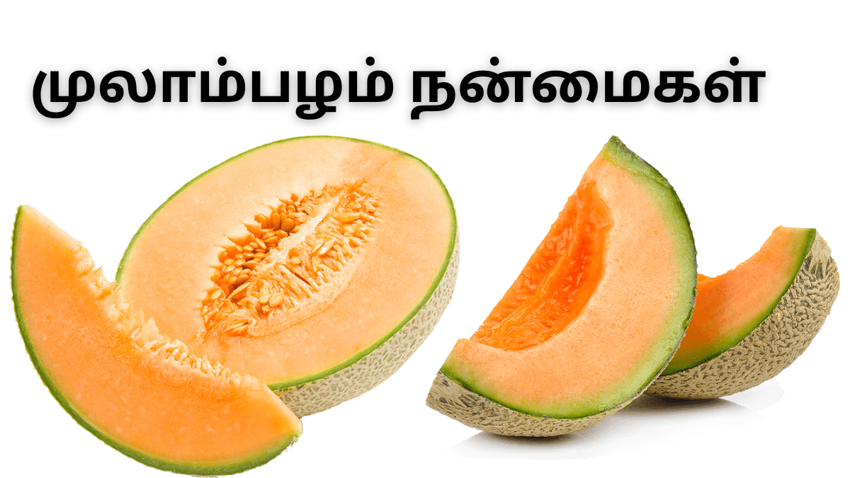 mulampalam-benefits-in-tamil