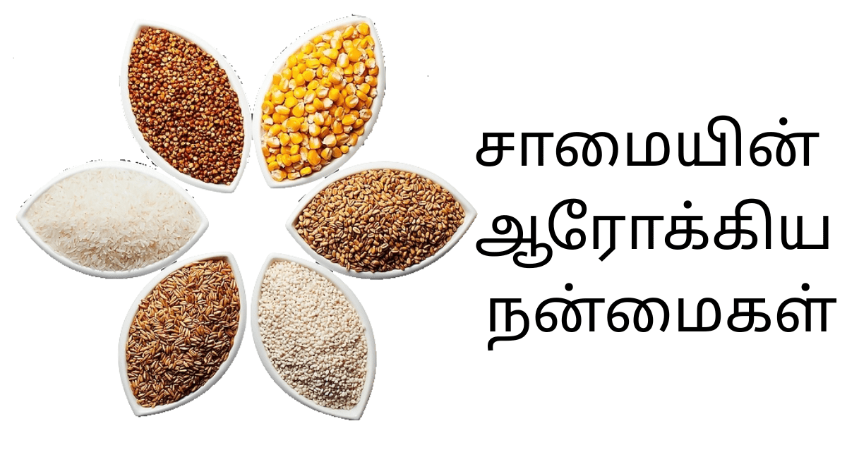 saamai-benefits-in-tamil