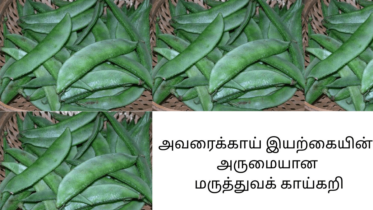 avarakkai-benefits-in-tamil