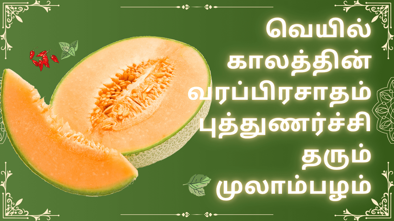 முலாம்பழம் நன்மைகள்