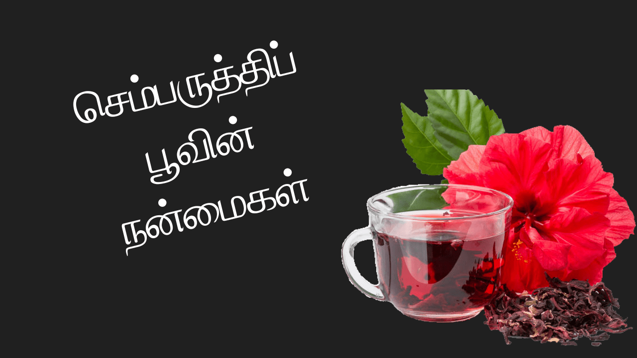 செம்பருத்திப் பூவின் நன்மைகள்