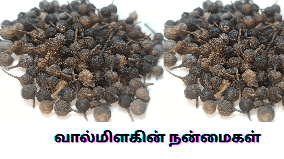 வால்மிளகின்-நன்மைகள்-